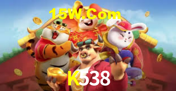 Premium Interface K538